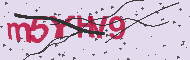 Captcha認証コード