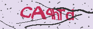 Captcha認証コード